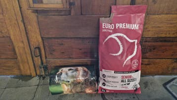 Hondenbrokken voor senior hond