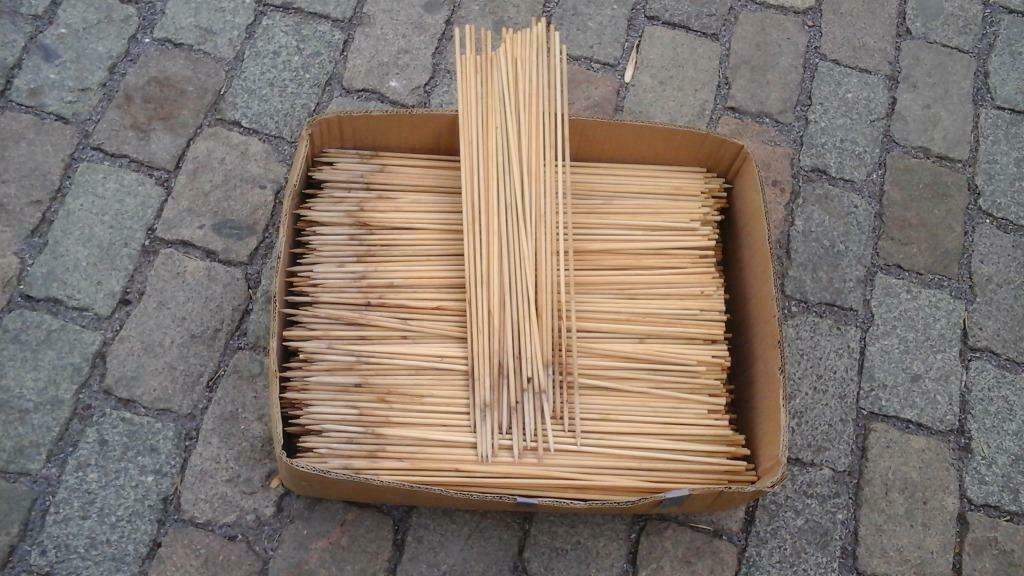 Plantenstokjes 50 cm lang, Jardin & Terrasse, Jardin & Terrasse Autre, Utilisé, Enlèvement