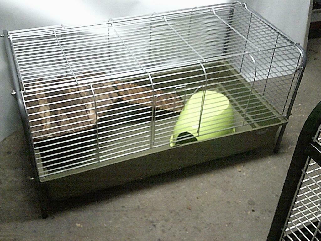 cage sur pieds 105x60x50cm bon état....., Ophalen, Gebruikt