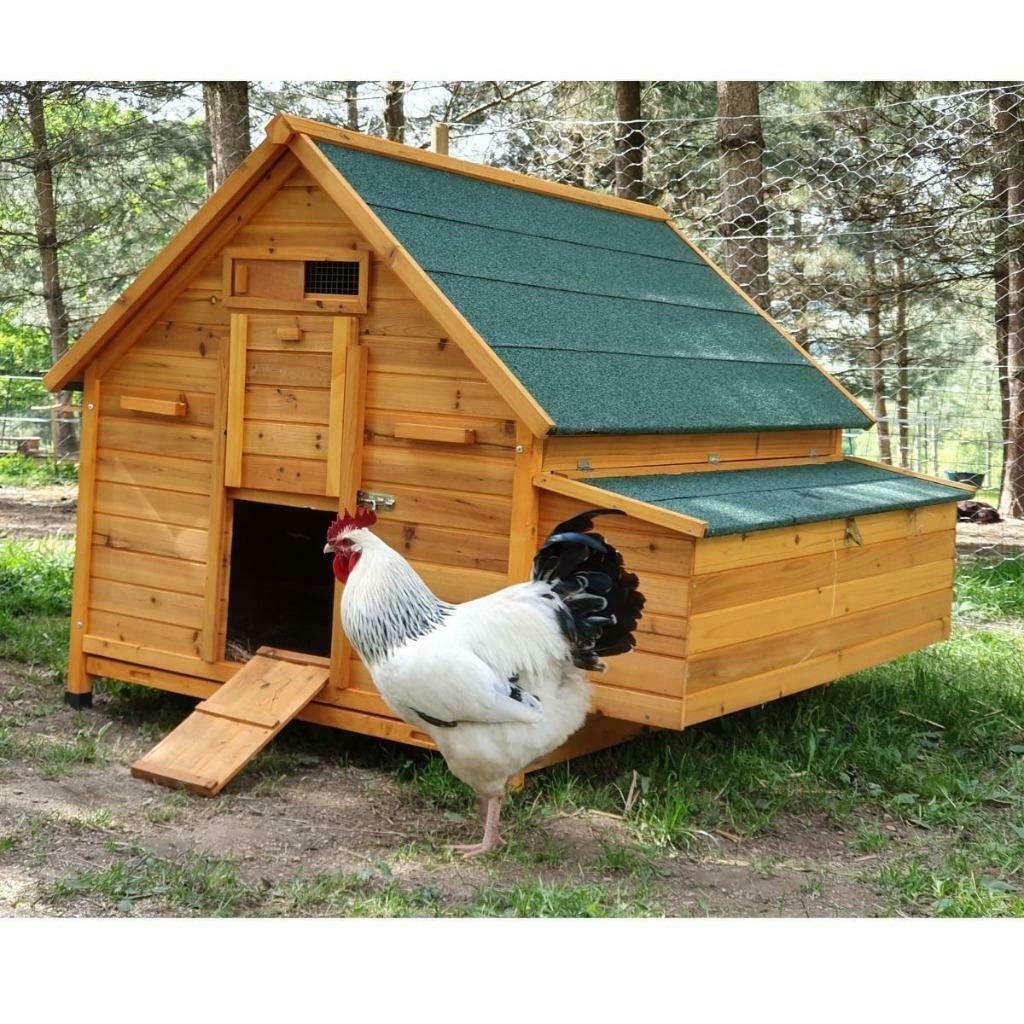 Poulailler 18 poules abri poules XXL coq canard oie caille, Envoi, Neuf, Poulailler