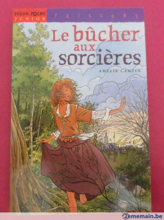 Le bûcher aux sorcières de Amélie Cantin **neuf**, Livres, Livres pour enfants | Jeunesse | 10 à 12 ans, Neuf, Enlèvement ou Envoi