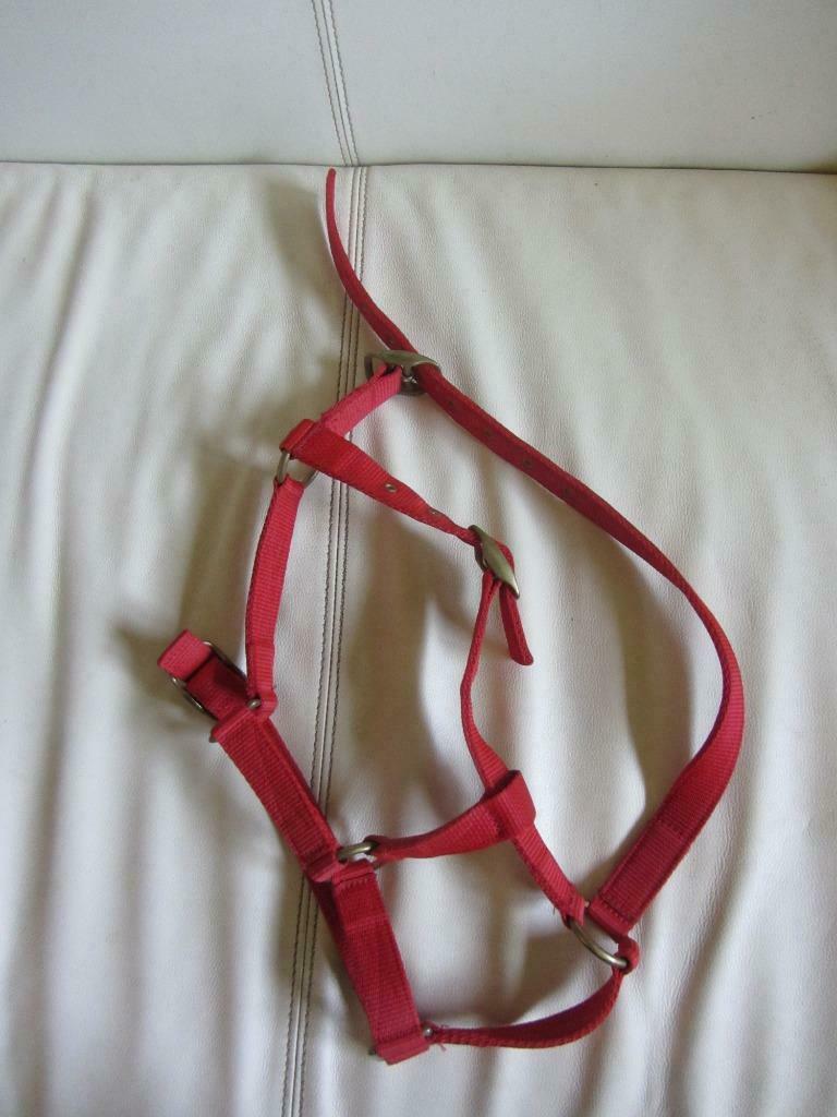 Harnais cottage craft poney, Animaux & Accessoires, Enlèvement ou Envoi, Neuf