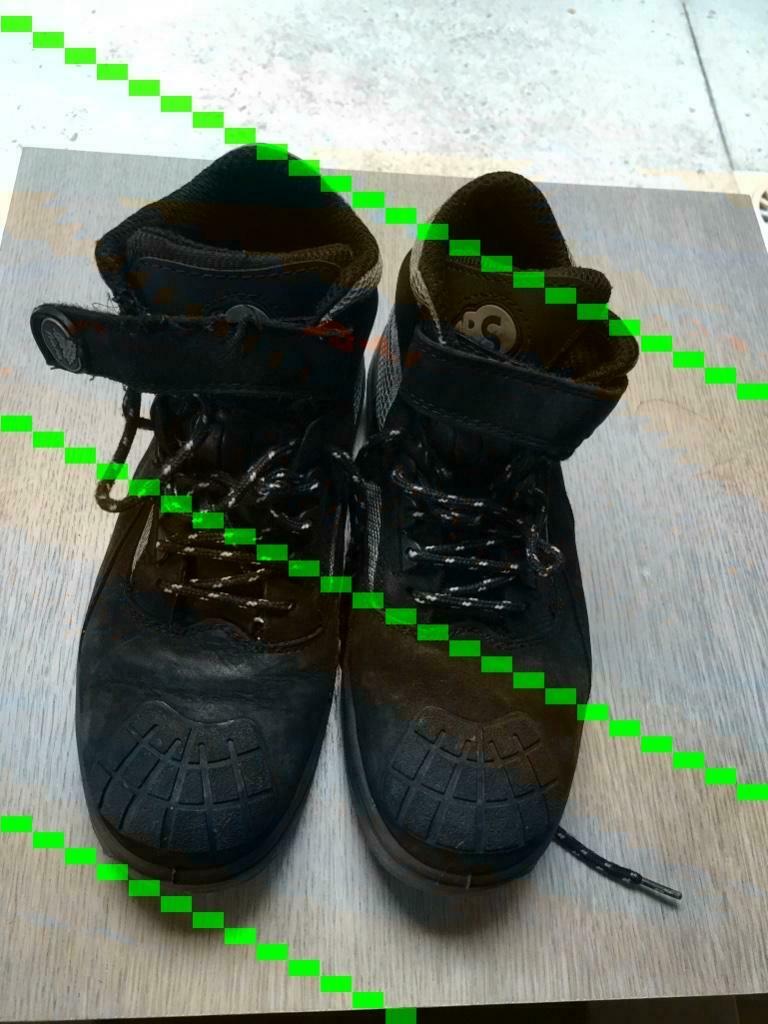 veiligheidsschoenen, Tuin en Terras, Werkkleding, Ophalen of Verzenden, Gebruikt, Dames, Schoenen