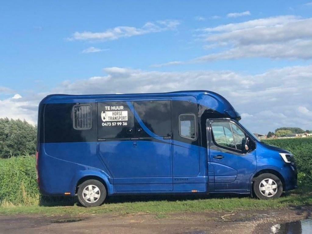 ‼️te huur‼️, Dieren en Toebehoren, B