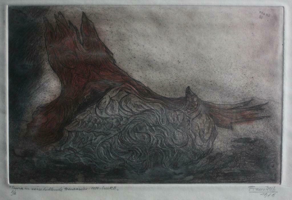 kleurets Frans Dille (1909-1999), Antiek en Kunst, Kunst | Etsen en Gravures, Ophalen of Verzenden