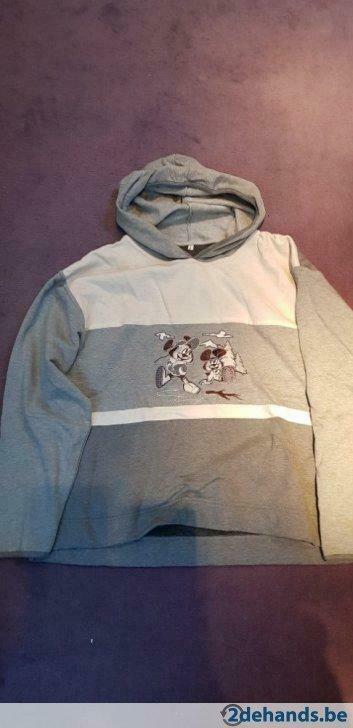 trui Large, Ophalen of Verzenden, Gedragen, Maat 42/44 (L)