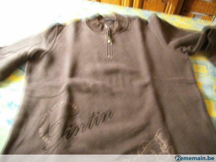Pull TINTIN homme brun taupe. Taille M., Envoi, Porté, Taille 48/50 (M), Brun