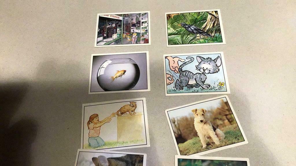 Animaux Panini (x5b), Enlèvement ou Envoi, Comme neuf, Animal et Nature