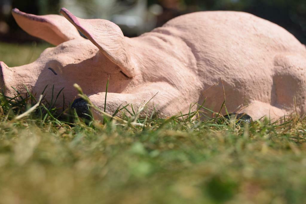 Varken liggend in gepatineerd gietijzer, Tuin en Terras, Tuinbeelden, Ophalen of Verzenden, Nieuw, Overige materialen, Dierenbeeld