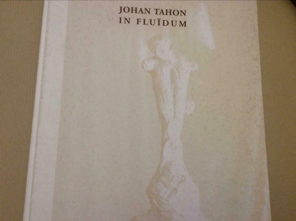 JOHAN TAHON    IN  FLUÏDUM, Boeken, Ophalen of Verzenden, Zo goed als nieuw