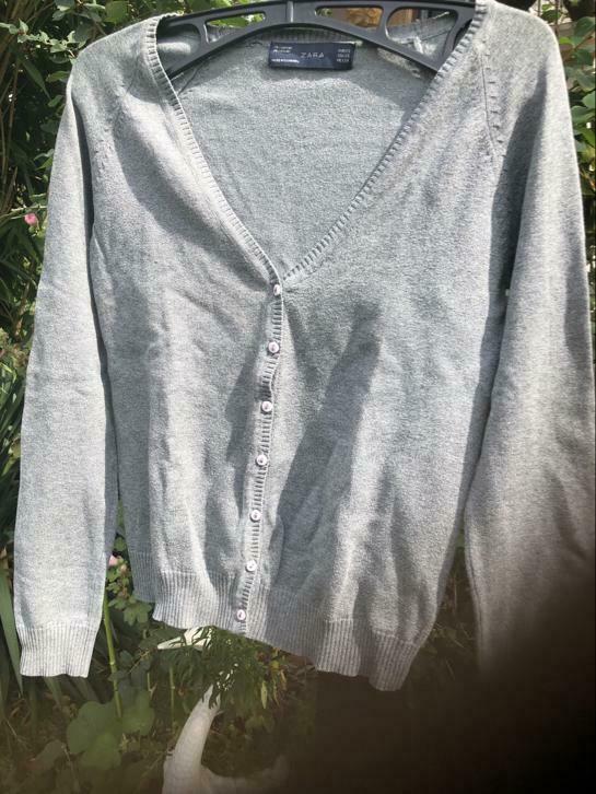 Lichtgrijs gilet, Vêtements | Femmes, Enlèvement ou Envoi