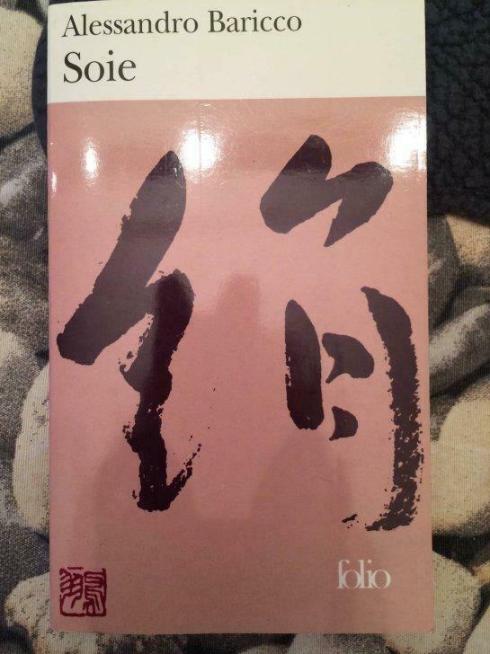 Livre roman Soie Allessandro Baricco, Ophalen, Gelezen