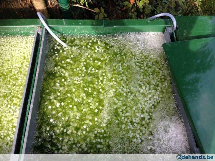 Oase Proficlear Premium incl Aquaworld Eskada XL!, Tuin en Terras, Vijvers, Nieuw