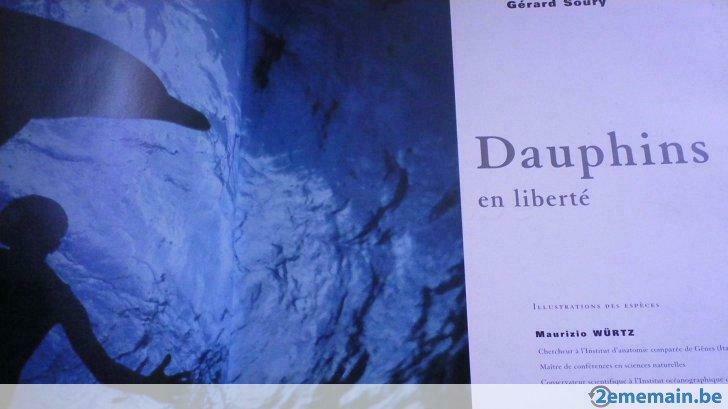 Dauphins, Enlèvement ou Envoi, Utilisé