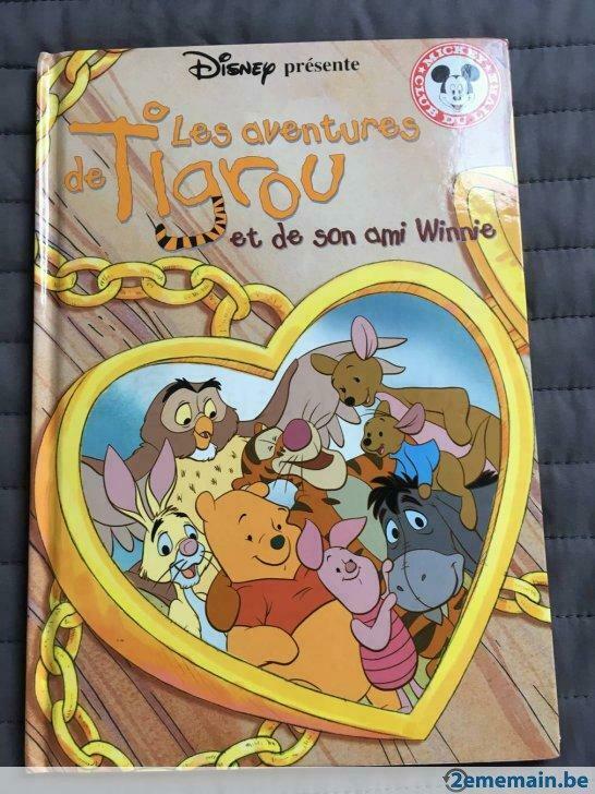 Livre Disney : Les aventures de Tigrou et son ami Winnie, Livres, Utilisé, 4 ans
