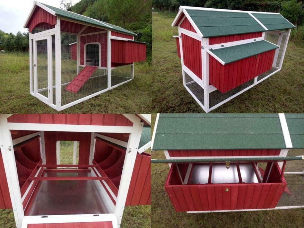 Poulailler 12-14 poules maison poule coq abri poules GEANT, Verzenden, Nieuw, Kippenhok of Kippenren