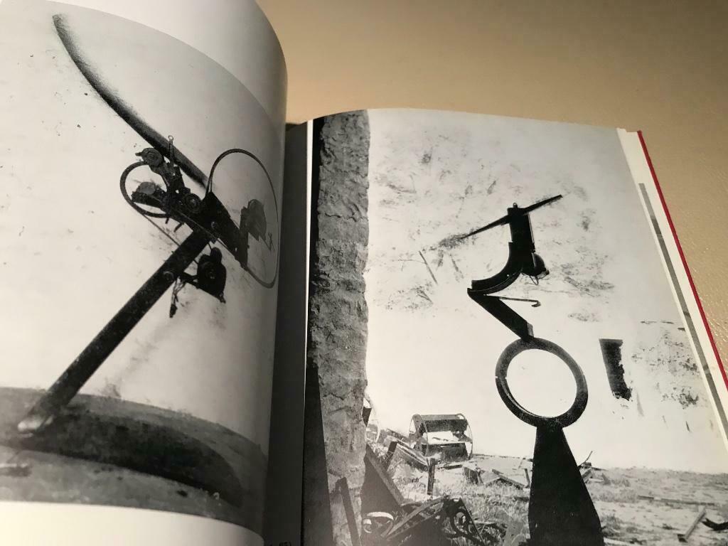 Sculptures Tinguely César Roel d’haese 100pag, Boeken, Ophalen of Verzenden, Zo goed als nieuw, Beeldhouwkunst