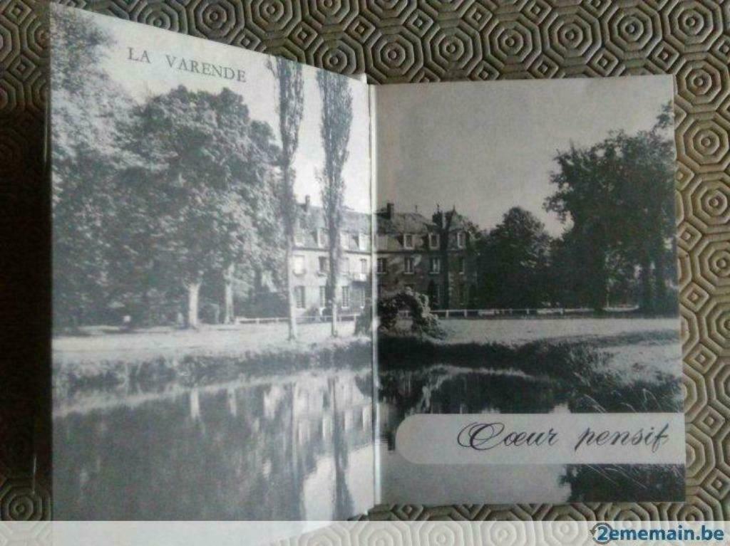 La Varende - "Coeur pensifs", Ophalen of Verzenden, Gelezen, Europa overig