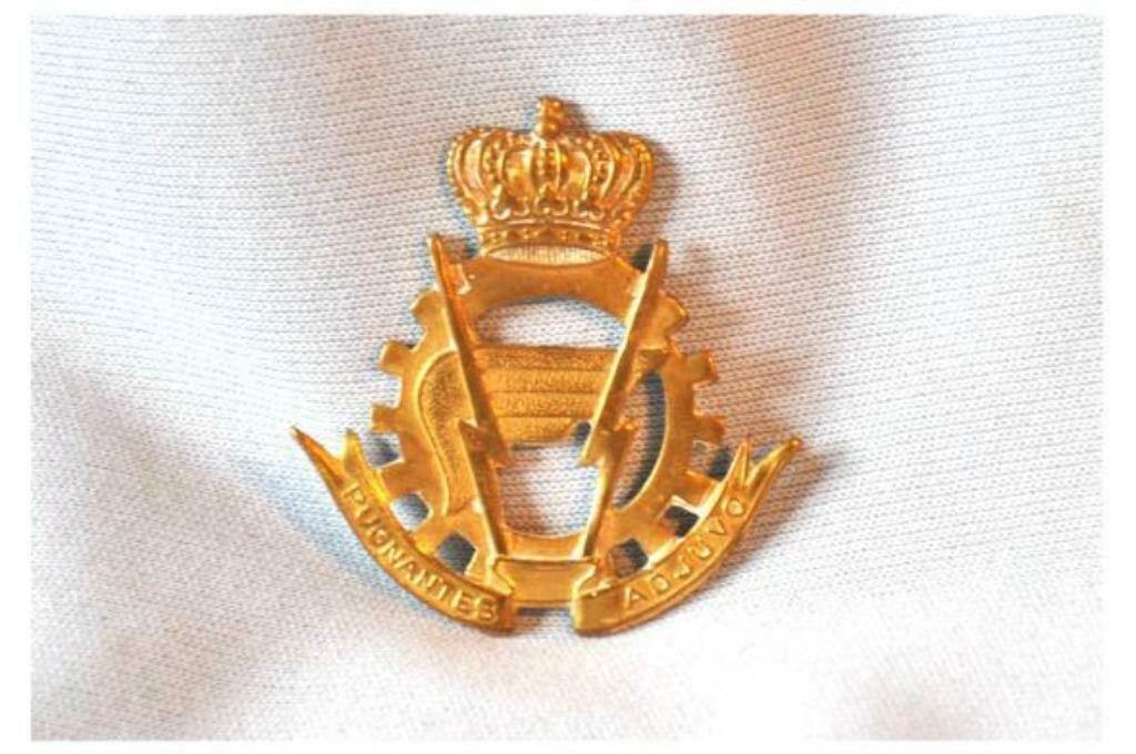§ badge militaire belge "logistique ", Enlèvement ou Envoi, Autres, Emblème ou Badge
