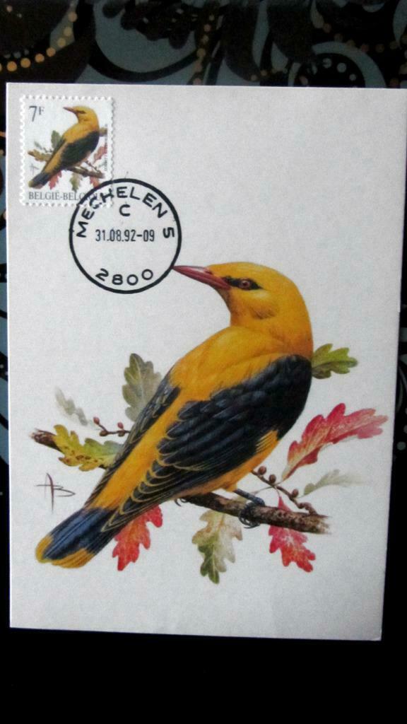 FIRST DAY OP KAART- VOGELS VAN BUZIN- DE WIELEWAAL, Ophalen of Verzenden, Gestempeld, Dier of Natuur