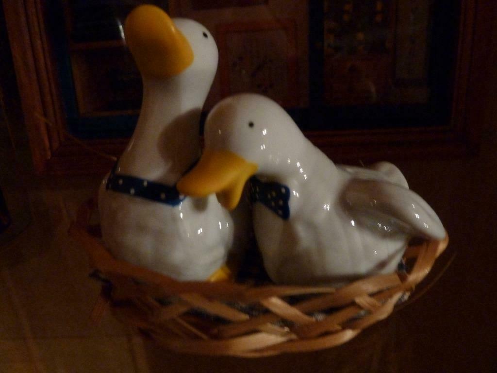 Peper en zoutvaatje paar eenden, Ophalen of Verzenden