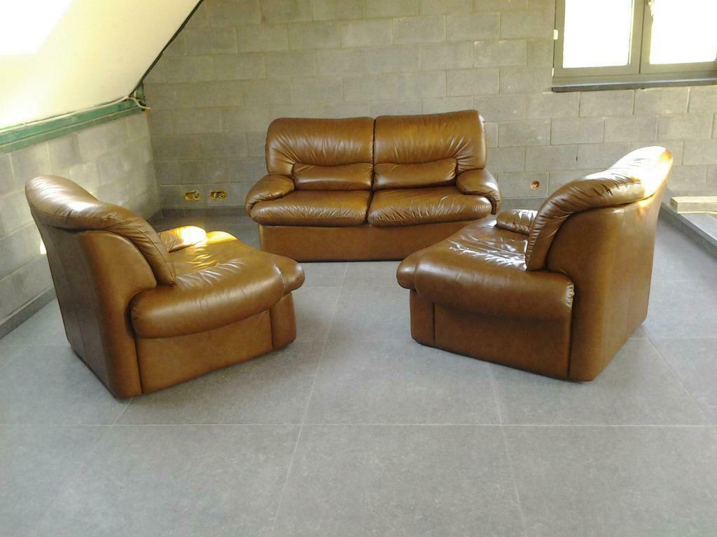 Salon en Cuir "VINTAGE ", Enlèvement, Utilisé, Cuir, Cuir