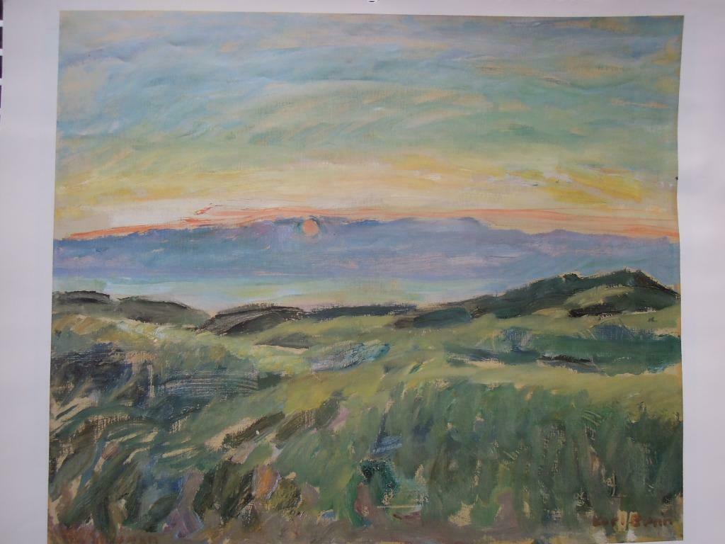 poster Karl Bovin 1950 landschap Skagen in Denemarken, Ophalen of Verzenden, Zo goed als nieuw, Rechthoekig Liggend, Dier of Natuur