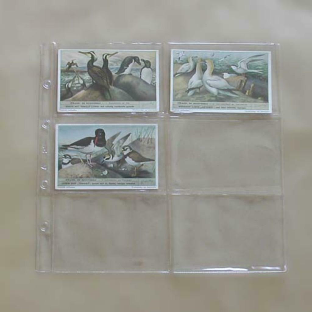 25 inlegbladen voor prentjes (Liebig - chromos), Collections, Religion, Neuf, Enlèvement ou Envoi