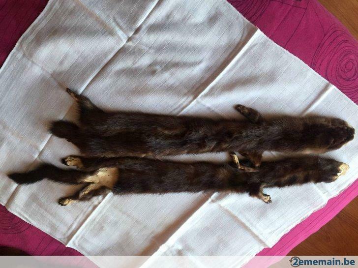 deux fourrures de  vison brun  juste tanné, Enlèvement ou Envoi, Neuf, Brun