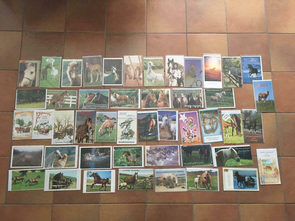 Set van 47 wenskaarten met paarden - NIEUW, Collections, Cartes postales | Animaux, Envoi, Cheval