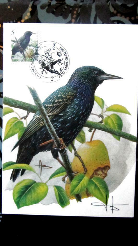 FIRST DAY OP KAART- VOGELS VAN BUZIN- DE SPREEUW, Ophalen of Verzenden, Gestempeld, Dier of Natuur