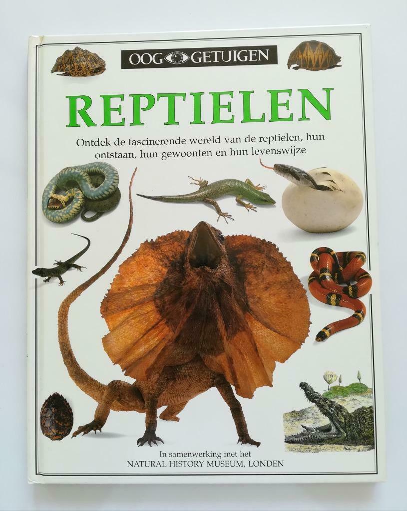 Reptielen (Colin McCarthy / Ooggetuigen), Boeken, Dieren en Huisdieren, Colin McCarthy, Ophalen of Verzenden, Zo goed als nieuw
