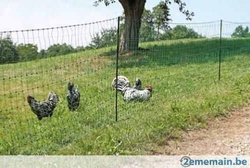 Clôture filet 15 mêtres FILET POULE VOLAILLE cloture poule, Articles professionnels, Agriculture | Outils, Élevage, Atelier, bâtiment ou Enclos