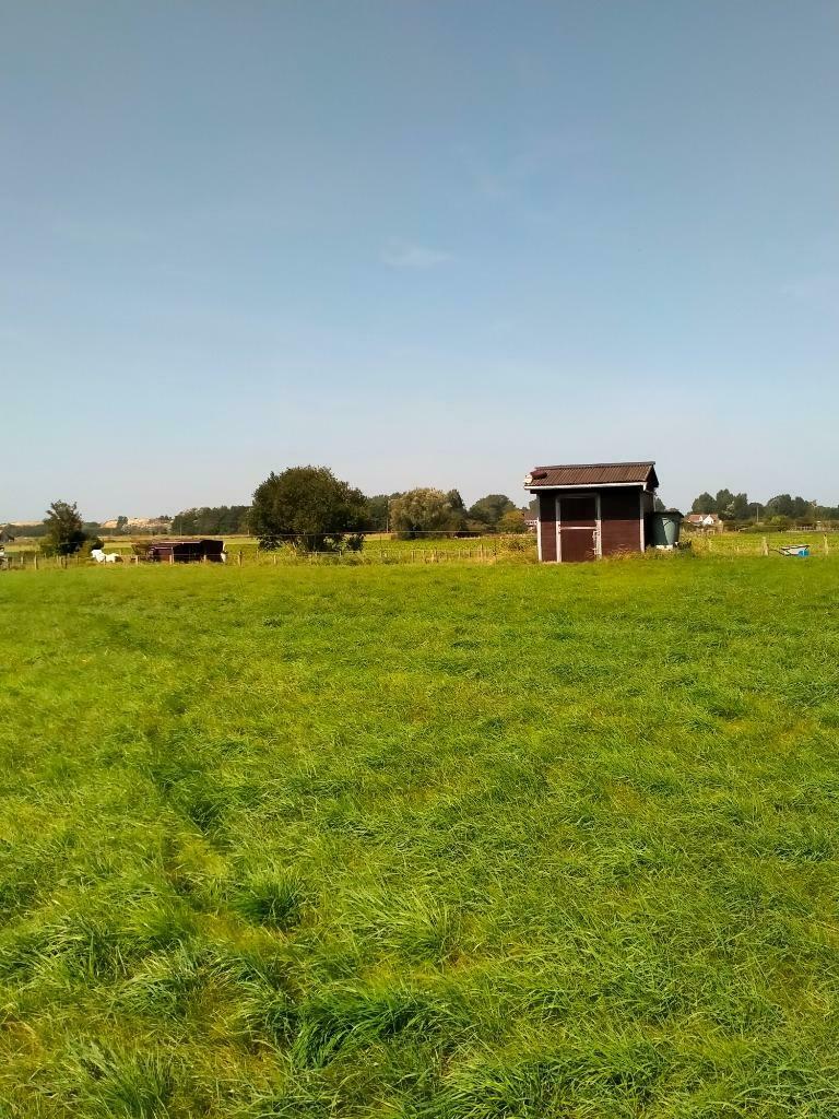 weide te koop, Dieren en Toebehoren, Stalling en Weidegang, Weidegang, 4 paarden of pony's of meer