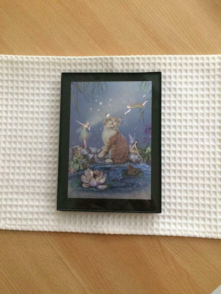 Kadertje, Minder dan 50 cm, Overige typen, Ophalen of Verzenden, Zo goed als nieuw