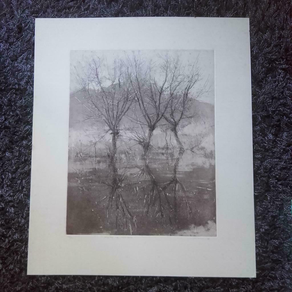 Gravure originale de Luigi Marcon, Antiquités & Art, Art | Eaux-fortes & Gravures, Enlèvement ou Envoi