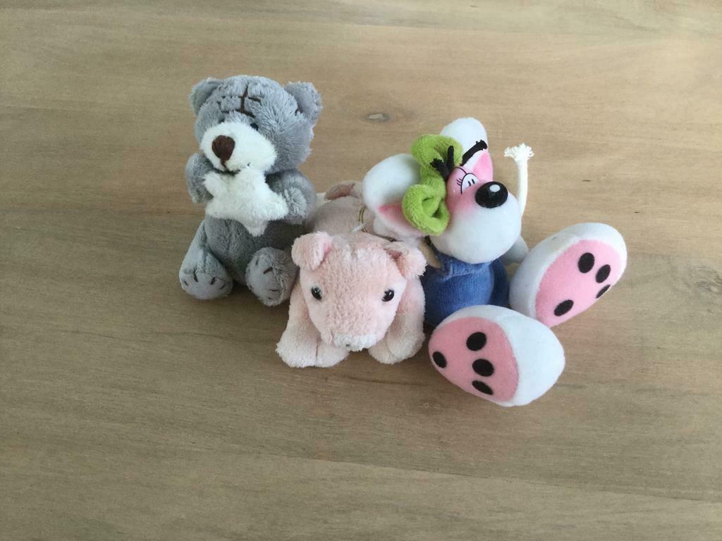 Sleutelhangers, Ophalen of Verzenden, Zo goed als nieuw, Knuffel of Figuurtje