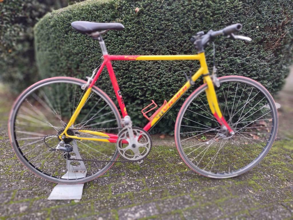 Vicini maat 54., 28 inch, Gebruikt, Heren, Ophalen