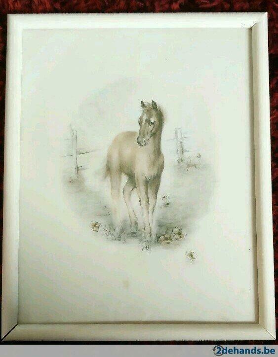 Kader paard, Huis en Inrichting, Woonaccessoires | Lijsten, Ophalen of Verzenden, Gebruikt