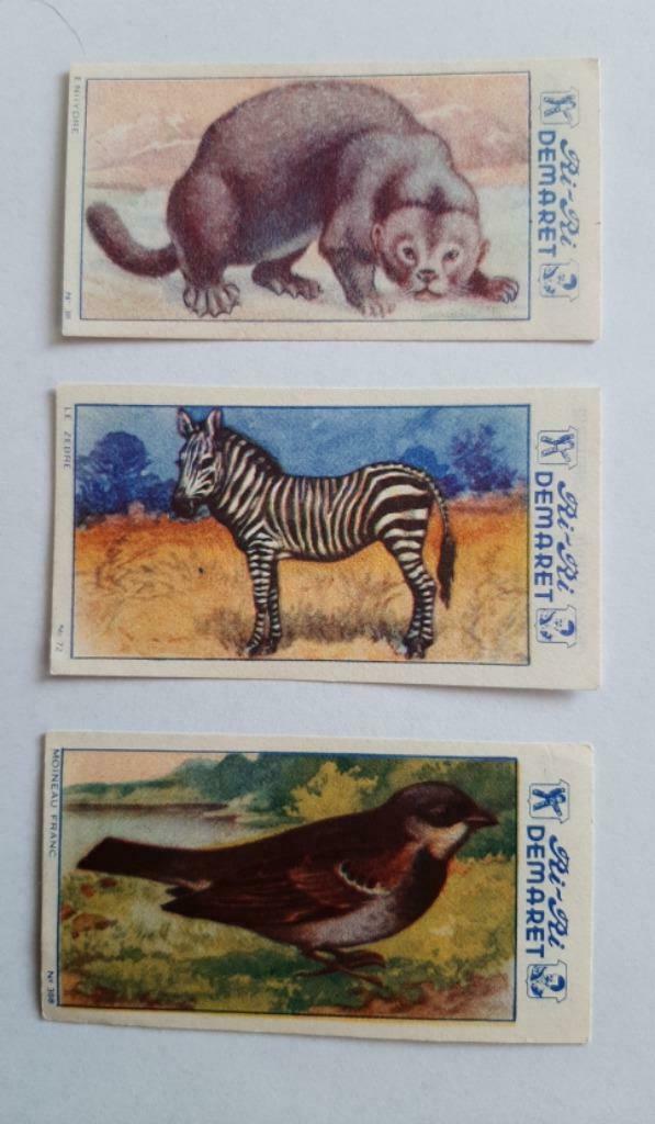 3 chromos images ri-ri demaret animaux en parfait état, Collections, Enlèvement ou Envoi