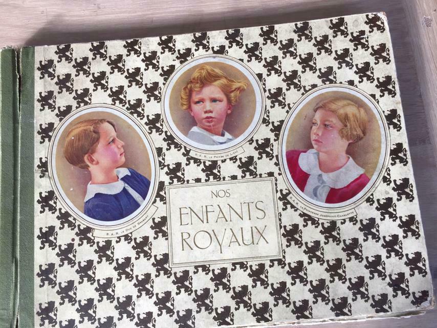 Album & chromos « Nos enfants royaux », Collections, Enlèvement ou Envoi, Utilisé, Magazine ou livre