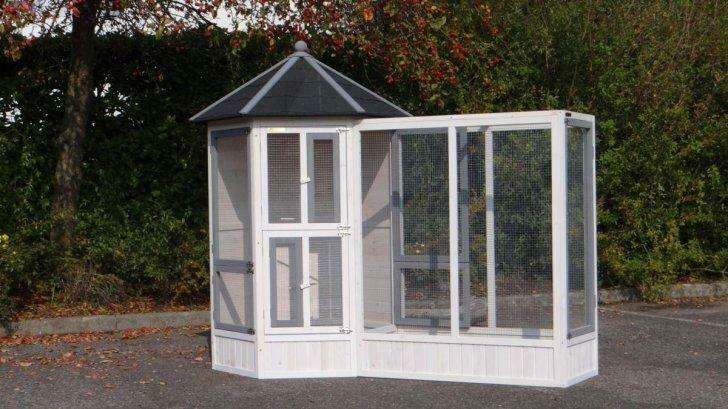 Volière XXL voliere de jardin voliere en bois DESIGN NEUF, Animaux & Accessoires, Envoi, Neuf