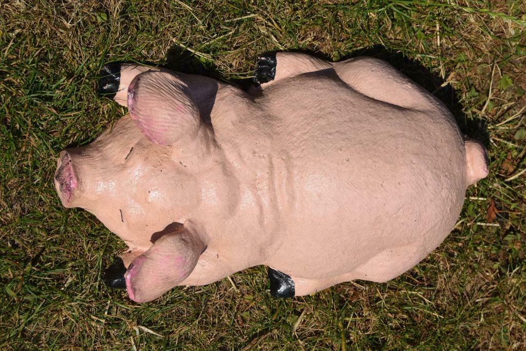 Varken liggend in gepatineerd gietijzer, Tuin en Terras, Tuinbeelden, Ophalen of Verzenden, Nieuw, Overige materialen, Dierenbeeld