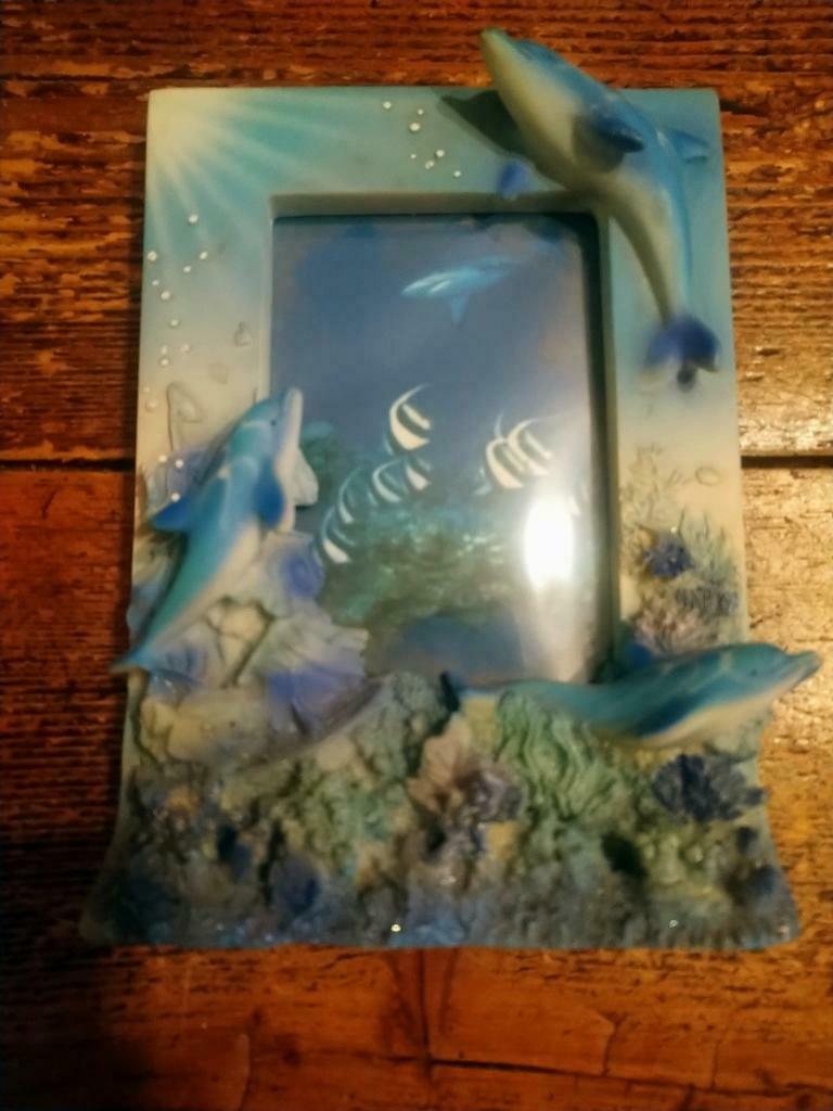 Dolfijn kader, Ophalen of Verzenden, Zo goed als nieuw