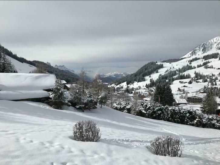 Très bel appartement à Les Mosses (Suisse), Vacances, Propriétaire, Village, 1 chambre, Montagnes ou collines