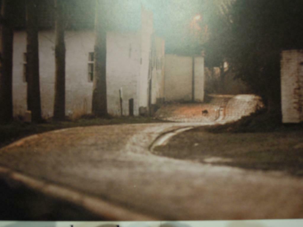 prent foto Velzeke - Zottegem Paddenstraat voor 1998, Neuf, 1980 à nos jours, Enlèvement ou Envoi, Gravure