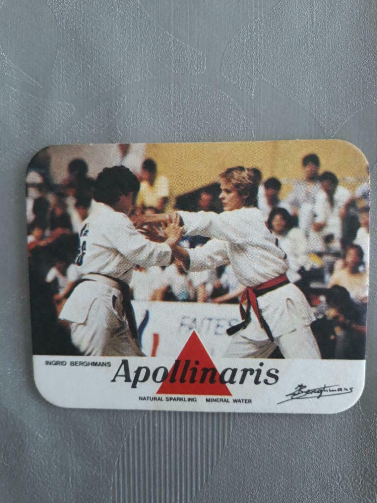 bierkaartje apollinaris ingrid berghmans, Collections, Enlèvement ou Envoi