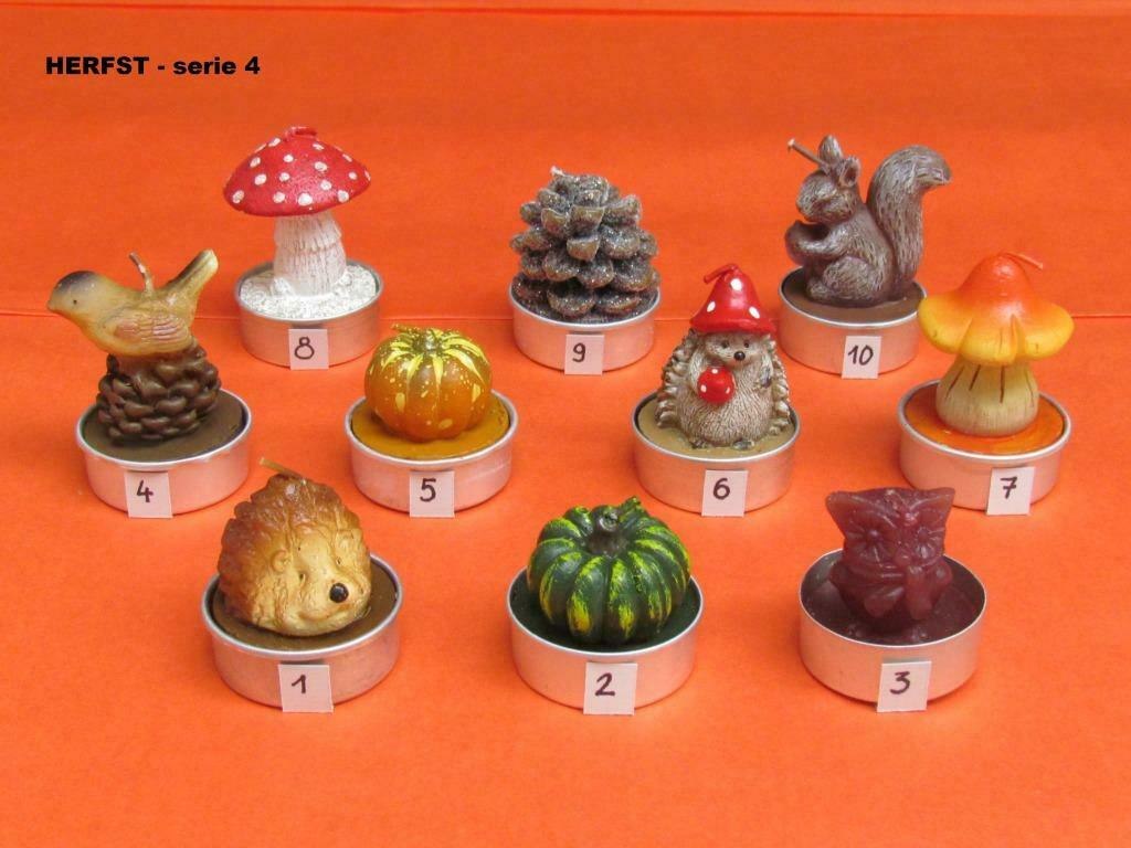 Herfst theelichtjes - serie 4, Ophalen of Verzenden, Nieuw, Kaars