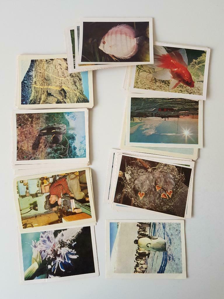 Vintage chromos Cote d' Or., Collections, Enlèvement ou Envoi, Photo, Comme neuf, Nature