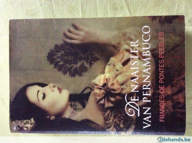 Boek - De naaister van pernambuco, Boeken, Romans, Gelezen